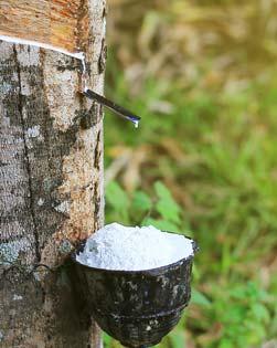 history of natural rubber